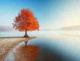 缓‌存‌工‍具‍安‌卓​apk下​载﻿工﻿具‍在‌哪‍